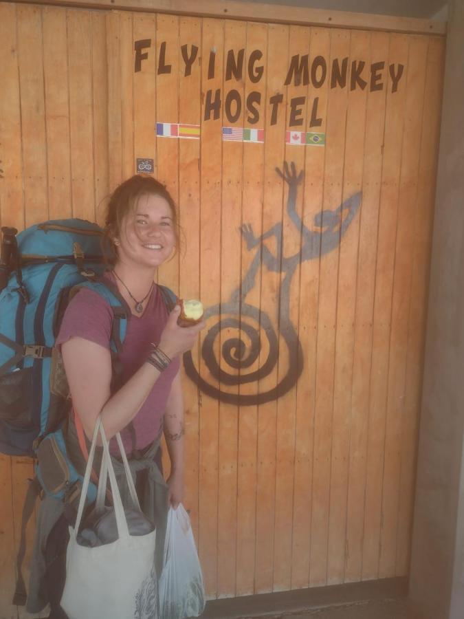Flying Monkey Hostel Nazca Eksteriør bilde