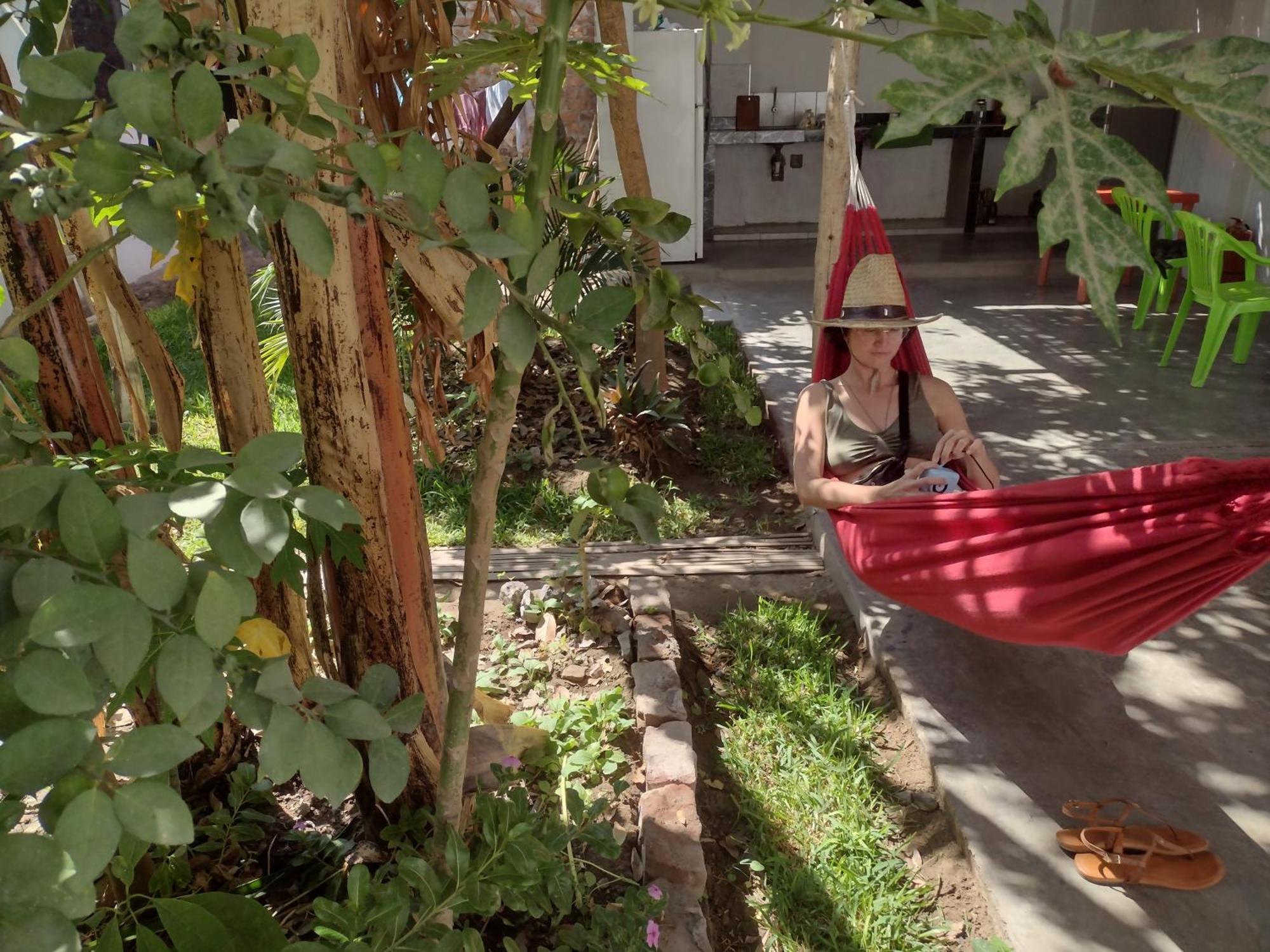 Flying Monkey Hostel Nazca Eksteriør bilde
